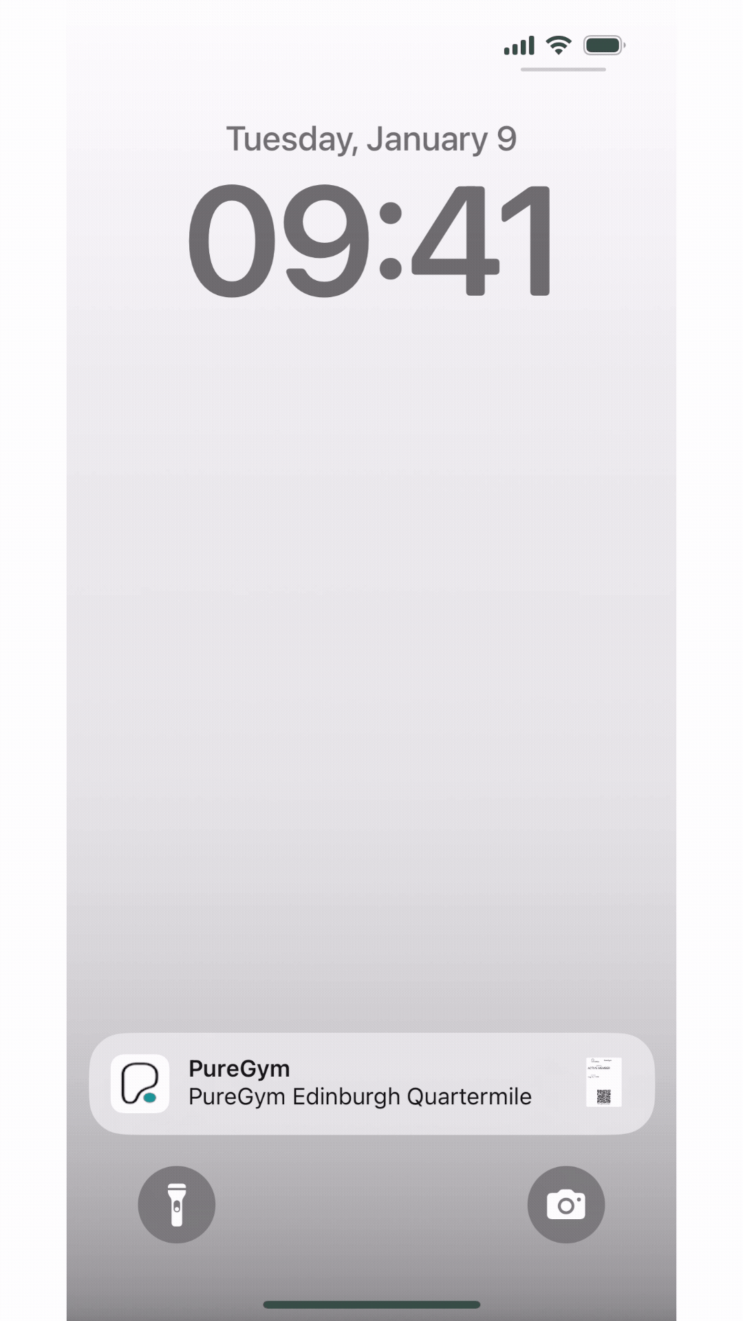 Apple Wallet pass