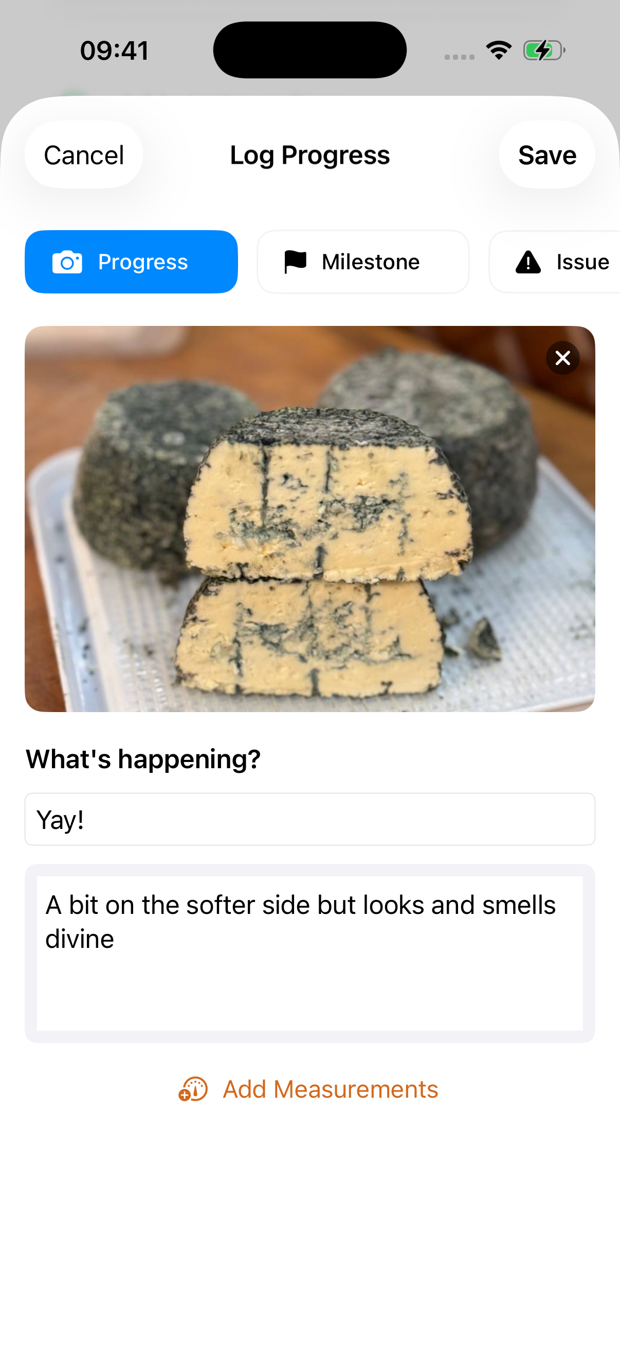 Fermento detail preview with cheese tasting notes