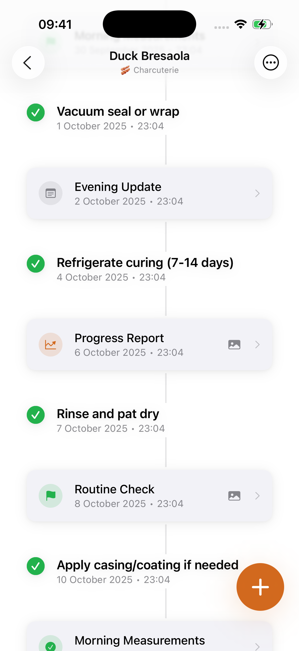 Fermento timeline view showing fermentation phases and checks.