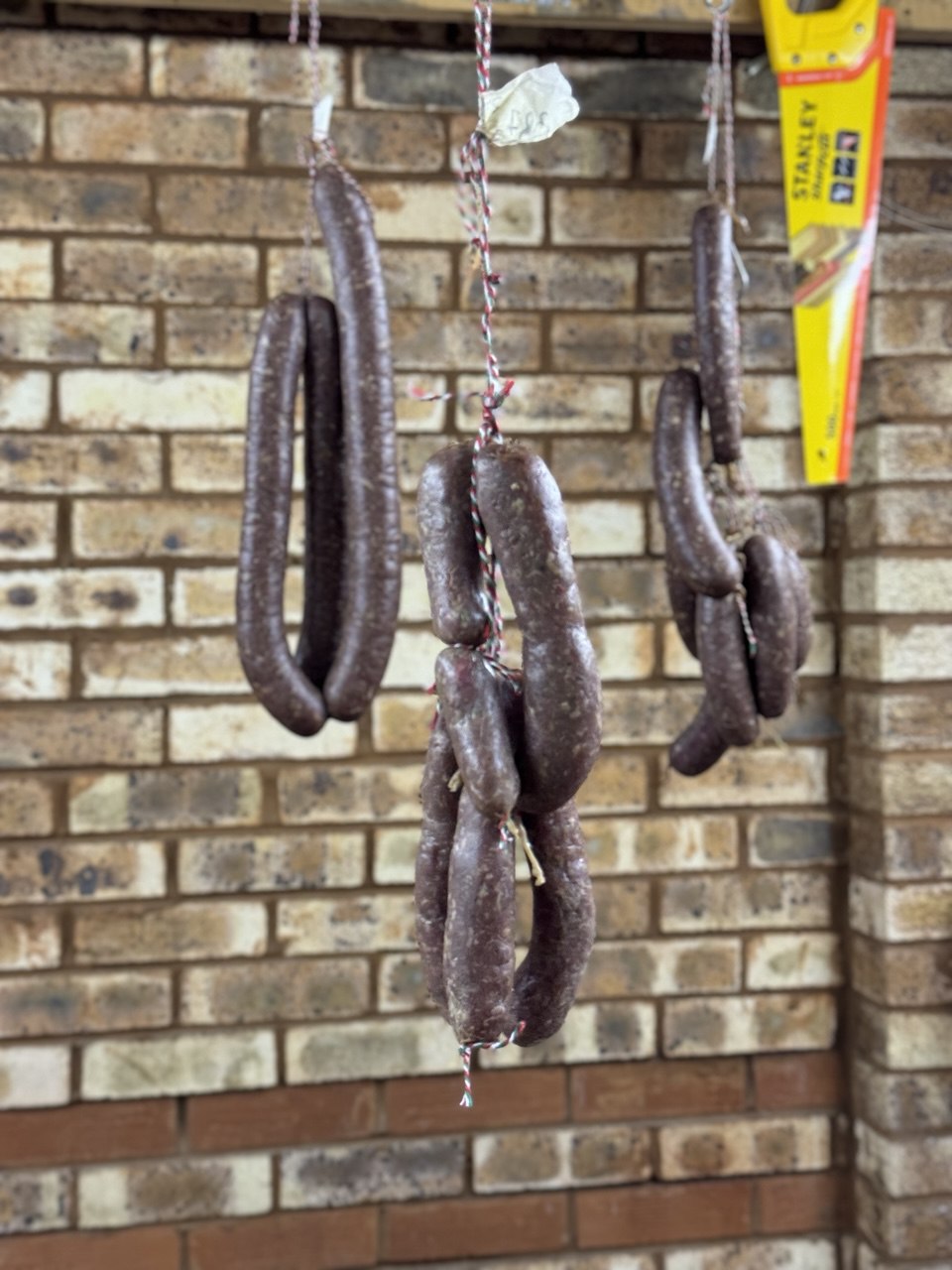 First batch of venison salami hanging in the garage.