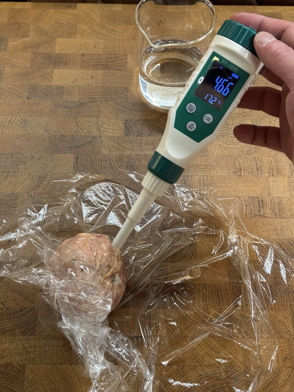 Hand holding a pH meter with a sample of sausage meat.